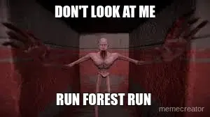 DON'T LOOK AT ME - RUN FOREST RUN meme