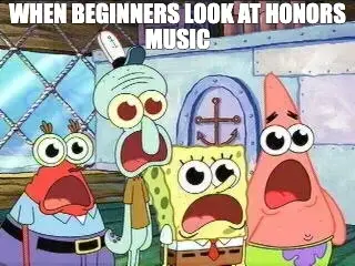 WHEN BEGINNERS LOOK AT HONORS MUSIC meme