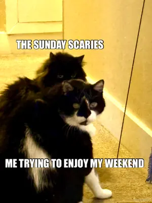 THE SUNDAY SCARIES  - ME TRYING TO ENJOY MY WEEKEND