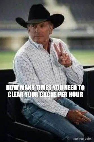 HOW MANY TIMES YOU NEED TO CLEAR YOUR CACHE PER HOUR meme