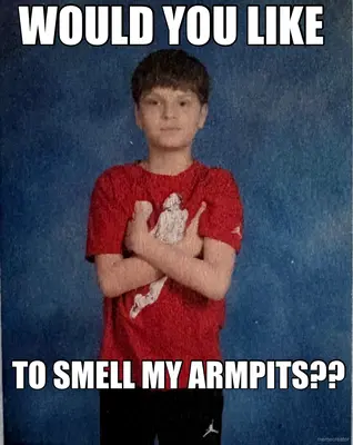 WOULD YOU LIKE - TO SMELL MY ARMPITS?? meme