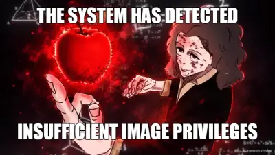 THE SYSTEM HAS DETECTED - INSUFFICIENT IMAGE PRIVILEGES meme