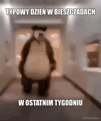 TYPOWY DZIEŃ W BIESZCZADACH - W OSTATNIM TYGODNIU meme