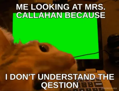 ME LOOKING AT MRS. CALLAHAN BECAUSE - I DON'T UNDERSTAND THE QESTION meme