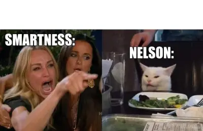 SMARTNESS: - NELSON: meme