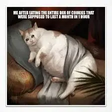 ME AFTER EATING THE ENTIRE BOX OF COOKIES THAT WERE SUPPOSED TO LAST A MONTH IN 1 HOUR meme