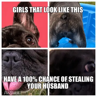 GIRLS THAT LOOK LIKE THIS  - HAVE A 100% CHANCE OF STEALING YOUR HUSBAND meme