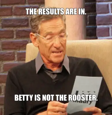 THE RESULTS ARE IN. - BETTY IS NOT THE ROOSTER. meme