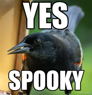 YES - SPOOKY meme