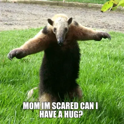 MOM IM SCARED CAN I 
HAVE A HUG? meme