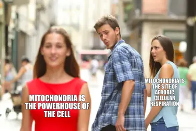 MITOCHONDRIA IS THE POWERHOUSE OF THE CELL - MITOCHONDRIA IS THE SITE OF AEROBIC CELLULAR RESPIRATIO