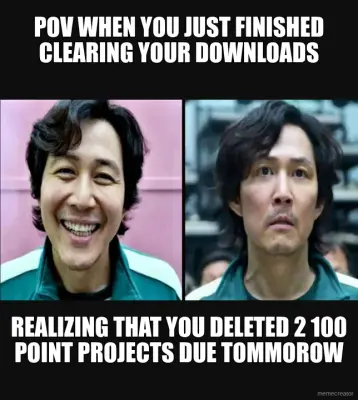 POV WHEN YOU JUST FINISHED CLEARING YOUR DOWNLOADS - REALIZING THAT YOU DELETED 2 100 POINT PROJECTS meme