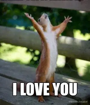 - I LOVE YOU meme