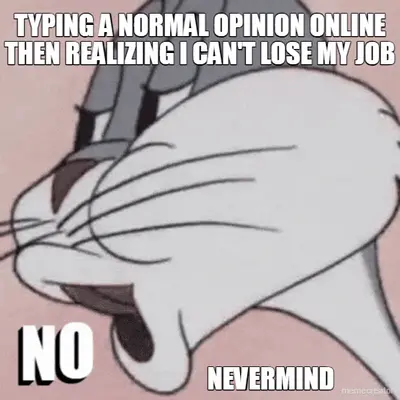 TYPING A NORMAL OPINION ONLINE THEN REALIZING I CAN'T LOSE MY JOB - NEVERMIND meme