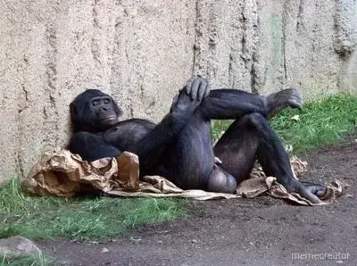 monkey balls meme meme