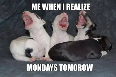 ME WHEN I REALIZE — MONDAYS TOMOROW