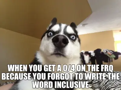 WHEN YOU GET A 0/4 ON THE FRQ BECAUSE YOU FORGOT TO WRITE THE WORD INCLUSIVE meme