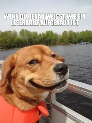 WENN DU GENAU WEISST, WIE EIN LESERBRIEF AUFGEBAUT IST - meme