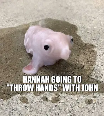 HANNAH GOING TO
"THROW HANDS" WITH JOHN meme