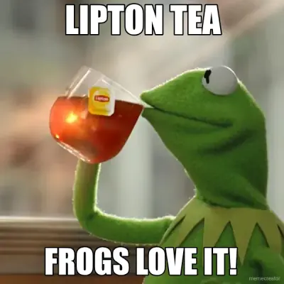LIPTON TEA - FROGS LOVE IT! meme