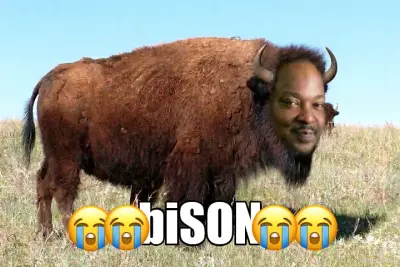 biSON meme
