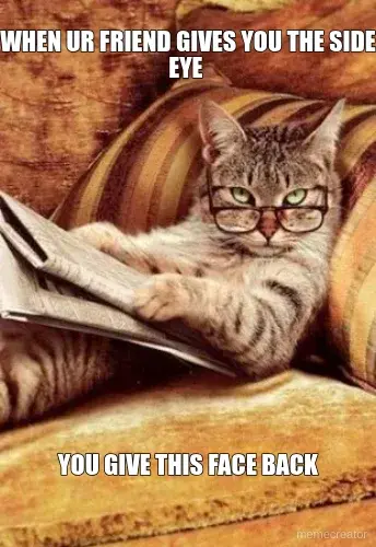 WHEN UR FRIEND GIVES YOU THE SIDE EYE  - YOU GIVE THIS FACE BACK meme