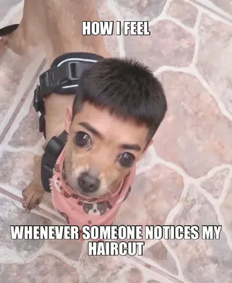 HOW I FEEL - WHENEVER SOMEONE NOTICES MY HAIRCUT meme