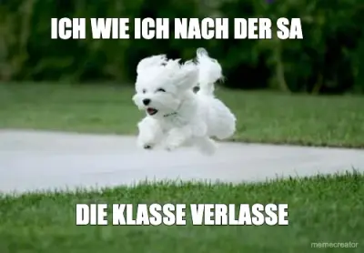 ICH WIE ICH NACH DER SA  - DIE KLASSE VERLASSE meme