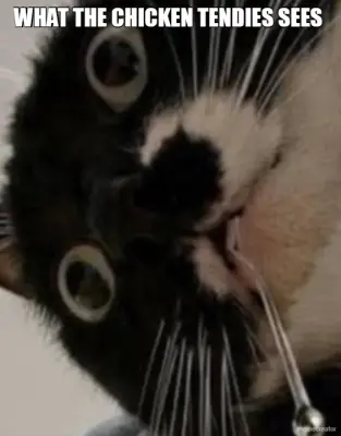 WHAT THE CHICKEN TENDIES SEES meme