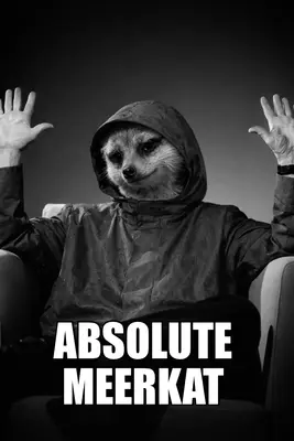 ABSOLUTE MEERKAT meme