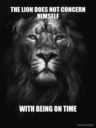 The lion meme