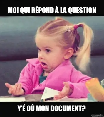 MOI QUI RÉPOND À LA QUESTION - Y'É OÙ MON DOCUMENT? meme