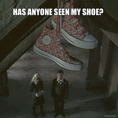 HAS ANYONE SEEN MY SHOE? meme