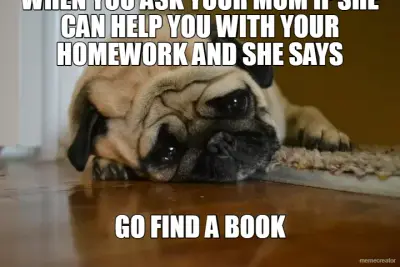 WHEN YOU ASK YOUR MOM IF SHE CAN HELP YOU WITH YOUR HOMEWORK AND SHE SAYS - GO FIND A BOOK meme