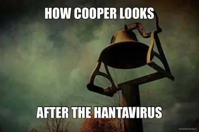 HOW COOPER LOOKS - AFTER THE HANTAVIRUS meme