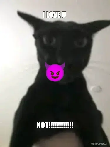 I LOVE U  - NOT!!!!!!!!!!!! meme