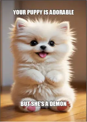 YOUR PUPPY IS ADORABLE - BUT SHE'S A DEMON meme