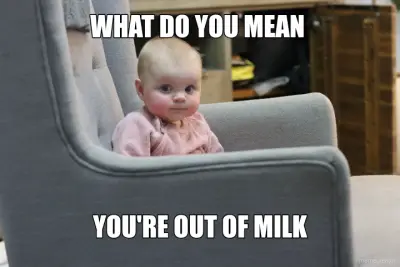 WHAT DO YOU MEAN  - YOU'RE OUT OF MILK meme