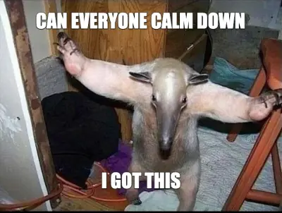 CAN EVERYONE CALM DOWN - I GOT THIS meme