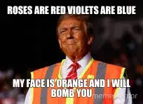 ROSES ARE RED VIOLETS ARE BLUE - MY FACE IS ORANGE AND I WILL BOMB YOU meme