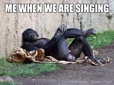 ME WHEN WE ARE SINGING - meme