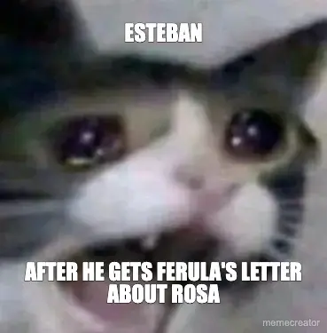 ESTEBAN - AFTER HE GETS FERULA'S LETTER ABOUT ROSA meme