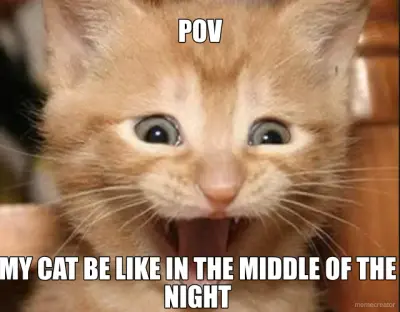 POV - MY CAT BE LIKE IN THE MIDDLE OF THE NIGHT meme