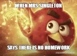 WHEN MRS SINGLETON - SAYS THERE IS NO HOMEWORK meme