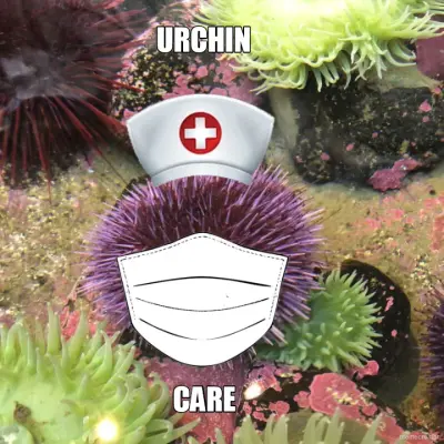 URCHIN - CARE meme