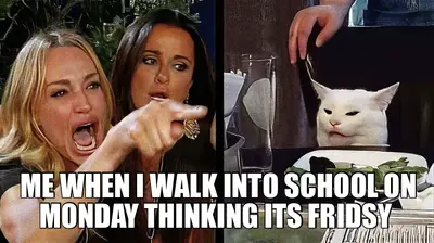 ME WHEN I WALK INTO SCHOOL ON MONDAY THINKING ITS FRIDSY