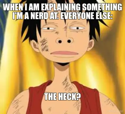 WHEN I AM EXPLAINING SOMETHING I'M A NERD AT. EVERYONE ELSE: - THE HECK? meme