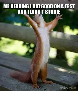 ME HEARING I DID GOOD ON A TEST AND I DIDN'T STUDIE meme