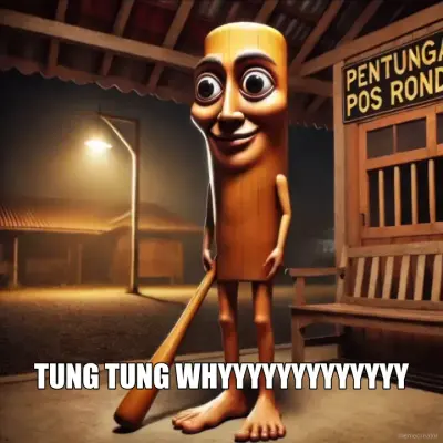 TUNG TUNG WHYYYYYYYYYYYYY meme