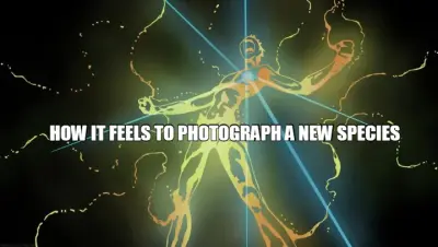 HOW IT FEELS TO PHOTOGRAPH A NEW SPECIES meme